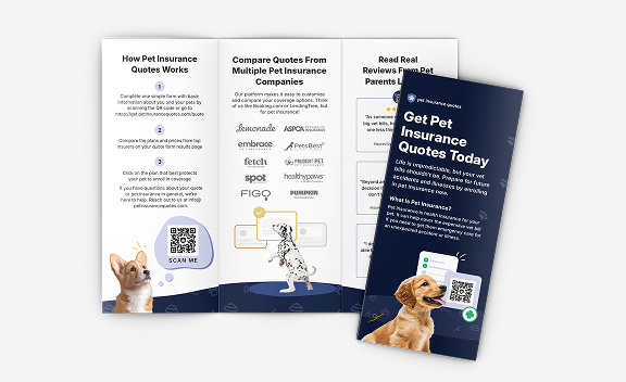 Brochures